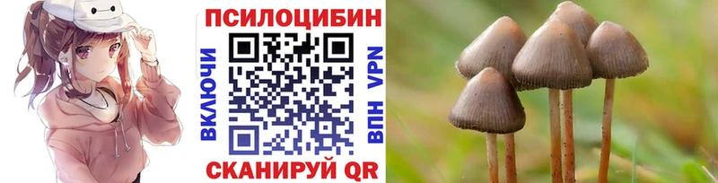 Псилоцибиновые грибы MAGIC MUSHROOMS  купить   kraken как войти  Елец 