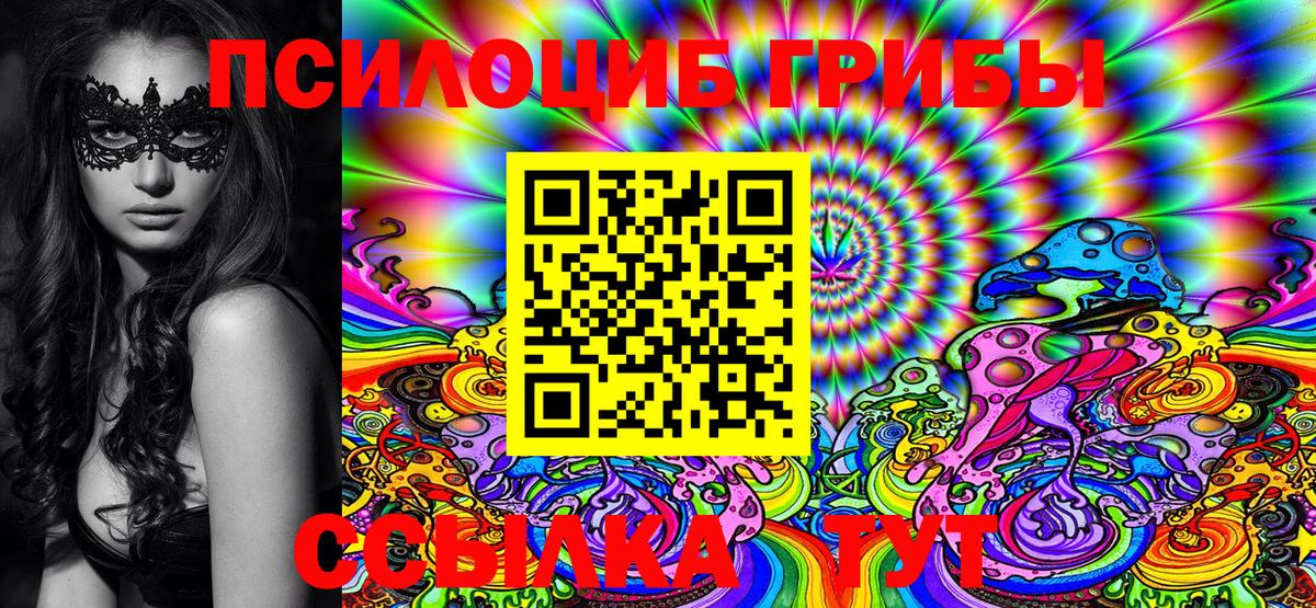 Псилоцибиновые грибы Magic Shrooms  Вход с VPN  Елец  Псилоцибиновые грибы Cubensis 