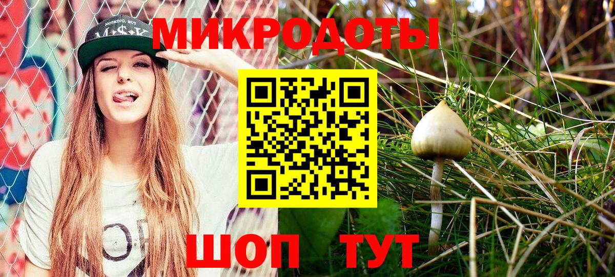 Галлюциногенные грибы мухоморы Елец