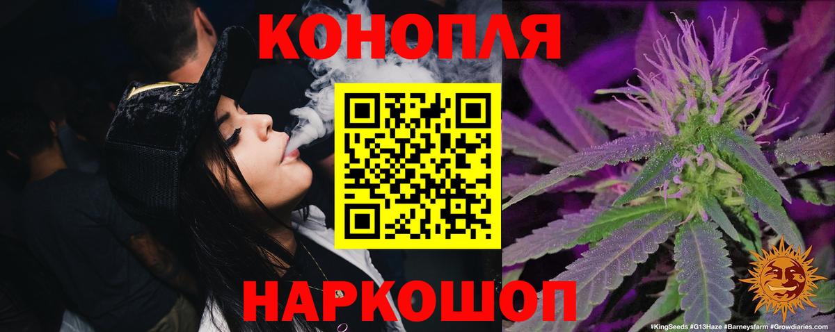 Конопля гибрид Елец
